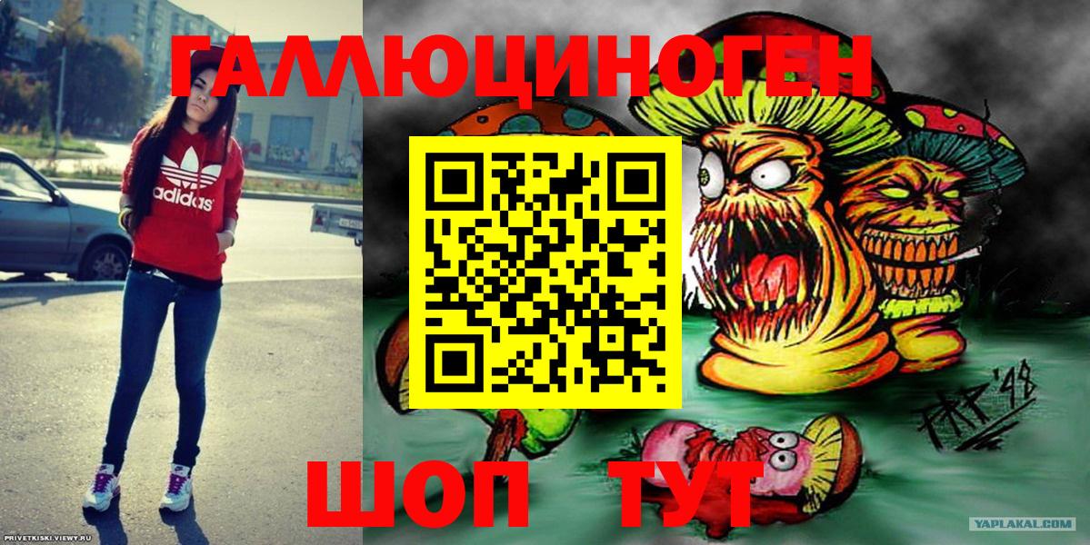Псилоцибиновые грибы Psilocybe Горно-Алтайск
