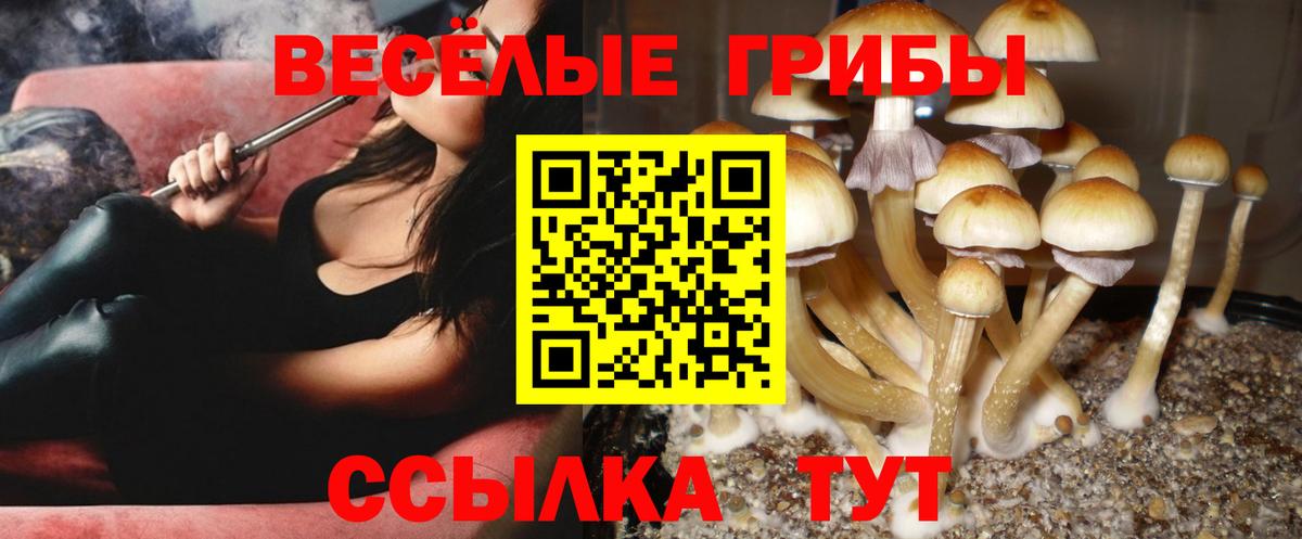 Горно-Алтайск  Псилоцибиновые грибы ЛСД  Псилоцибиновые грибы Psilocybine cubensis  Вход с VPN 